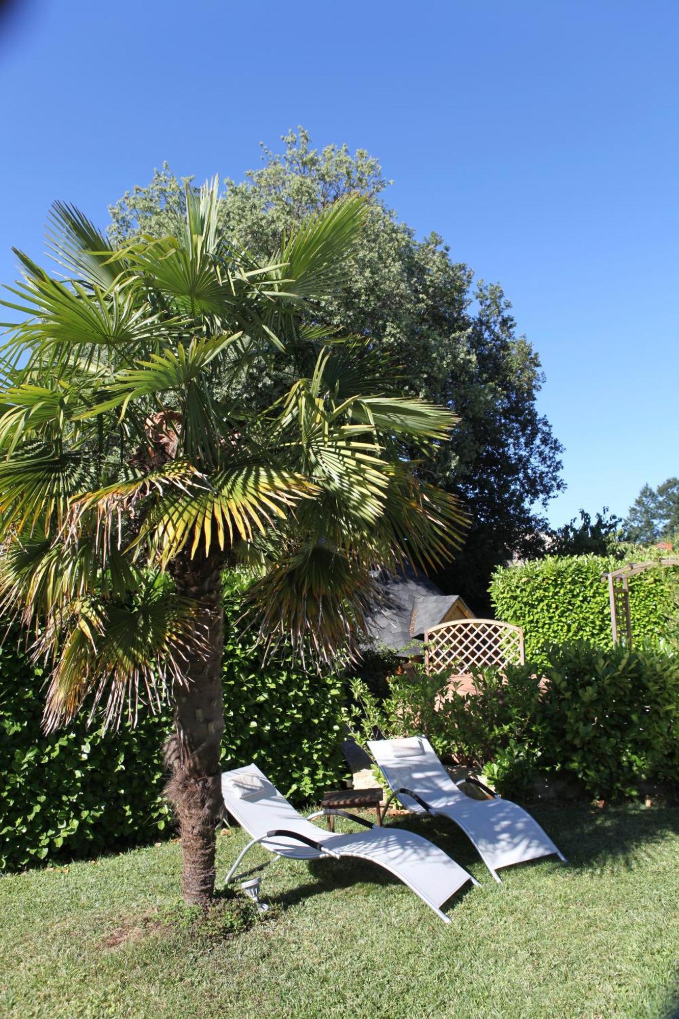 Le Relais des Anges Bed and Breakfast Mercuès Eksteriør billede